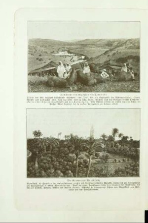 Hochsteppe von Algerien mit Karawane