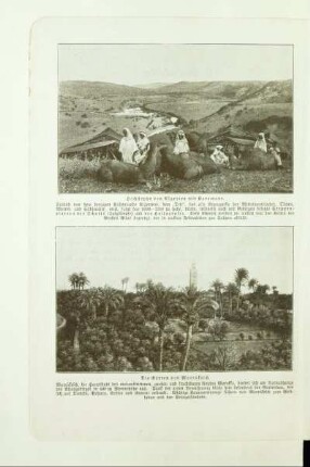 Hochsteppe von Algerien mit Karawane