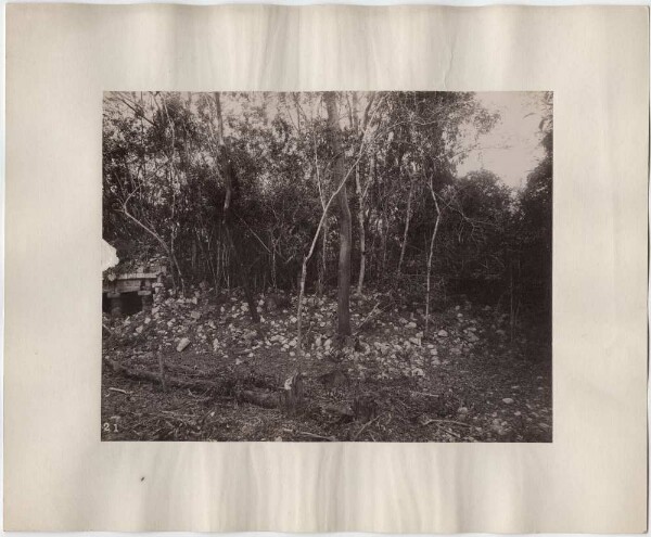 "Palace façade, upper row, east wing. Main building. View to the north."