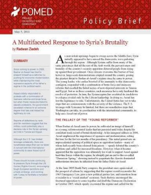 A multifaceted response to Syria's brutality