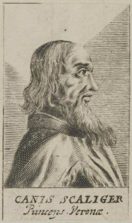 Bildnis des Canis Scaliger