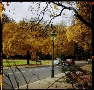 Baden-Baden: herbstlicher Park, Straße mit Laterne