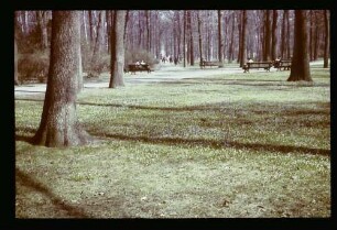 Tiergarten Frühling 1939