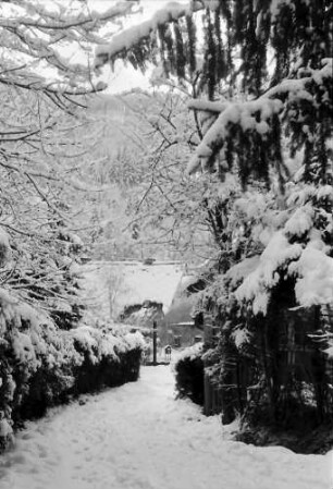 Freiburg, Günterstal: Günterstal im Schnee, Rehhagweg nach unten