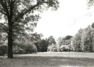 Dresden-Strehlen. Park der ehem. Königlichen Villa an der Palais-(Franz-Liszt-) Straße. Wiesenplan von starken Laubbäumen umrahmt