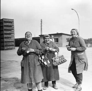 Kartoffelfrauen beim Eis essen : Falkenhain. lachende Kartoffelarbeiterinnen beim Eis essen