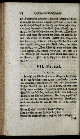 VII. Kapitel.