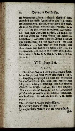 VII. Kapitel.