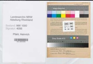 Entnazifizierung Heinrich Pfahl, geb. 12.12.1897 (Drechsler)