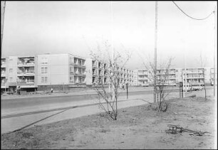Auf der Horst, Falkenhorst