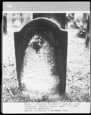 Grabstein der Therese Cannot (gestorben 1857.01.05)
