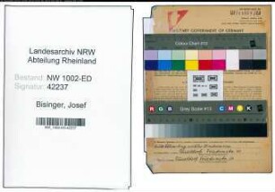 Entnazifizierung Josef Bisinger, geb. 04.12.1886 (Studienrat)