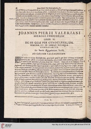 Liber VI