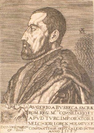 Portrait des Augier Ghiselin de Busbecq