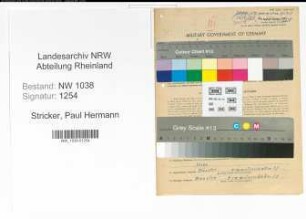 Entnazifizierung Paul Hermann Stricker , geb. 20.10.1902 (Kaufmann)