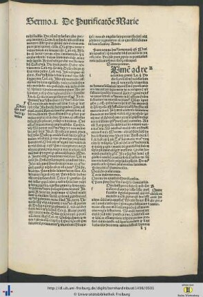 Pars VIII