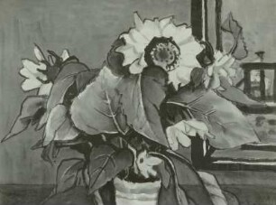 Sonenblumen