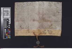 Wimpfen: Papst Benedikt XIV. gewährt dem Stift Wimpfen [... ?]