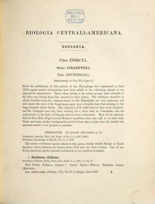 Insecta : Coleoptera, 6,1,[2]. Phytophaga (part). - [2]