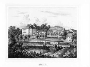 Pohla