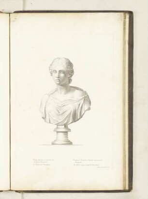 Buste antique de marbre, de la Jeune Cleopatre. Au Palais des Thuilleries.