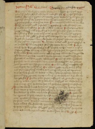 Sermones de sanctis (Anfang und Schluss fehlen)