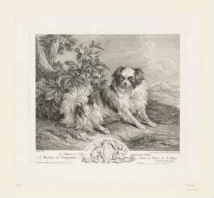 La Fidelité, Portrait d'Ines