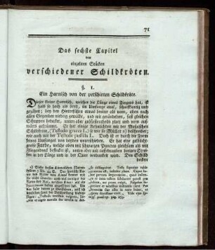 Das sechste Capitel von einzelnen Stücken verschiedener Schildkröten