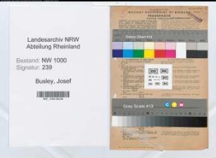 Entnazifizierung Josef Busley, geb. 05.04.1888 (Kunsthistoriker)