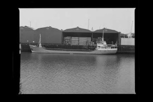 Borsfleth ex Dithmarschen (1956), Frachtschiff, Edgar Pahl, Brake, Bau-Nr. 1093