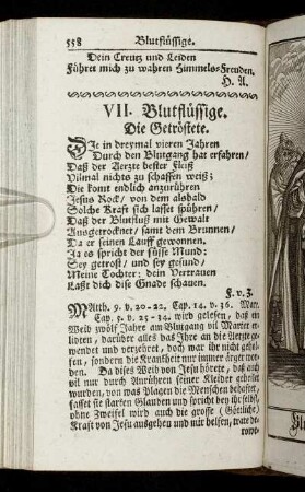 VII. Blutflüssige. Die Getröstete.