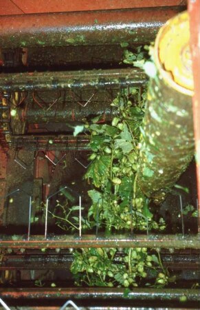 Fotografie: Erntetechnik, Sonderkulturen, Hopfen