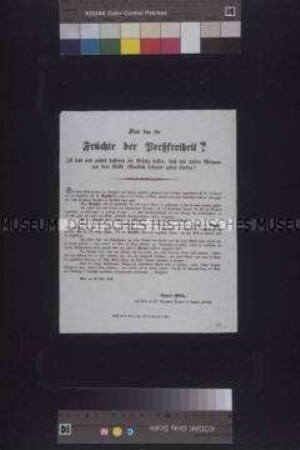 Handzettel: Sind das die Früchte der Preßfreiheit? Zur Notwendigkeit eines Pressegesetz von Eduard Hübsch; Wien, 13. Mai 1848
