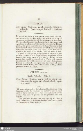Cirrus acutus. Tab. CXLI. --- Fig. 1