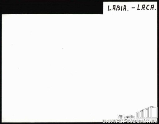 LABIA.-LACA.