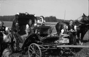 St. Märgen: Tag des Schwarzwälder Pferdes; Wagen