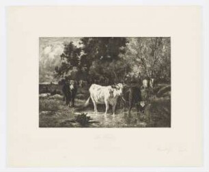 La forêt