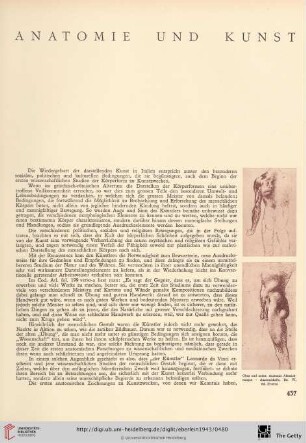 Anatomie und Kunst