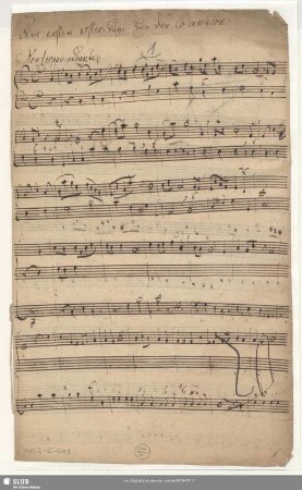 Cantatas - Mus.2-E-643 : V (X), orch, bc