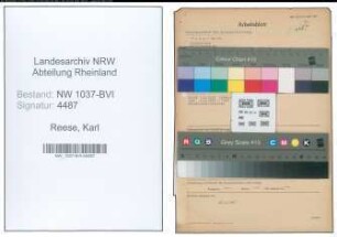 Entnazifizierung Karl Reese , geb. 28.12.1896 (Kaufm.Angestellter)