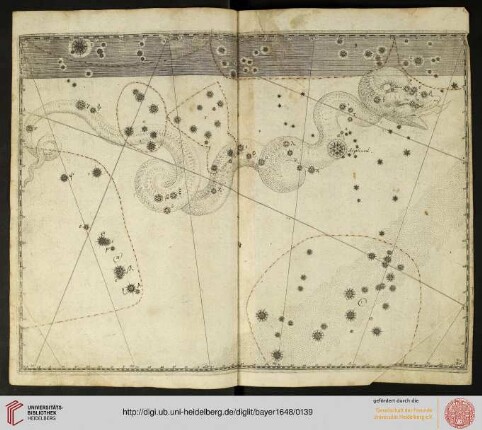 Tafel 44: Hydra (Wasserschlange)