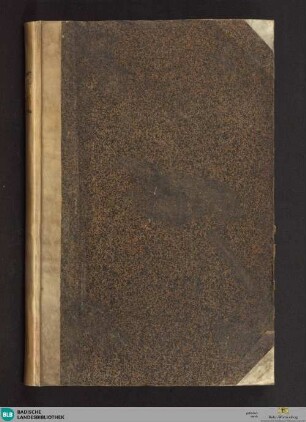 Nürnbergisches Ratsgeschlechtsbuch - Cod. Bruchsal 6