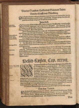 Welsch Kirßen, Cap. XXXVII