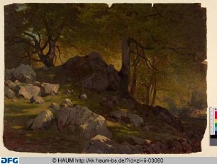 Landschaft mit Bäumen, Felsen und einem Zaun