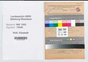 Entnazifizierung Elisabeth Wolf, geb. 17.06.1906 ()
