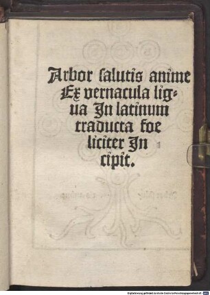 Arbor salutis anime Ex vernacula ligua [!] In latinum traducta foeliciter Incipit