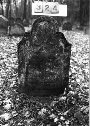 Grabstein 324 (Index: 99752316) Material: Sandstein Zustand: verwittert Maße HxBxT: 91x58x9 cm Beschreibung: Stele, geschwungen eingezogener Rundbogenabschluß, Schriftfeld eingetieft Symbolik: Ranken, Band: Grabstein 324