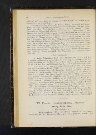 1. Gattung. Raute. Ruta.
