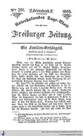 (Nr. 291 - 308) Ein Familien-Verhängnis