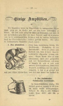 Einige Amphibien